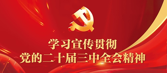 學(xué)習(xí)宣傳貫徹黨的二十屆三中全會精神